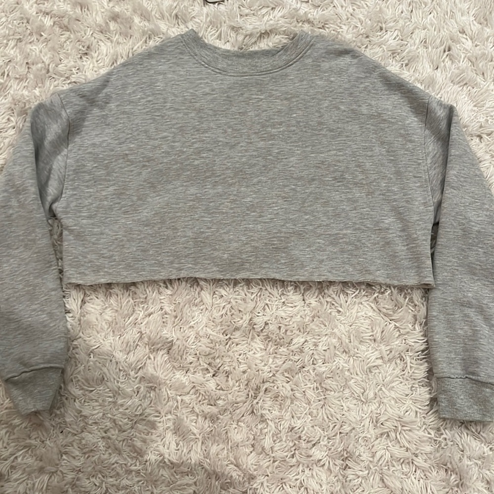 Grey Cropped Sweatshirt